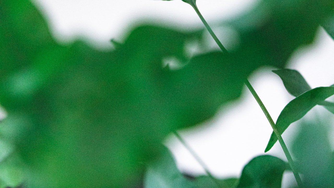 Which Industries Are Using Oxygen Sensors And What Are the Benefits of Oxygen Sensor Uses In Different Industries?