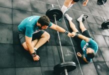 Guide to Installing Lift Support Struts for Car