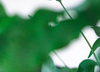 Which Industries Are Using Oxygen Sensors And What Are the Benefits of Oxygen Sensor Uses In Different Industries?